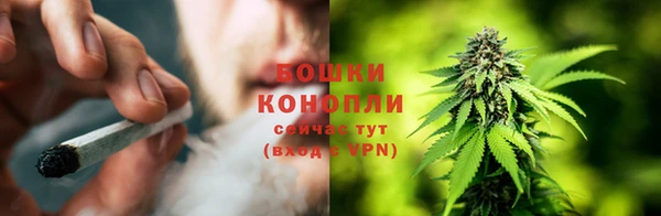 ПСИЛОЦИБИНОВЫЕ ГРИБЫ Абаза