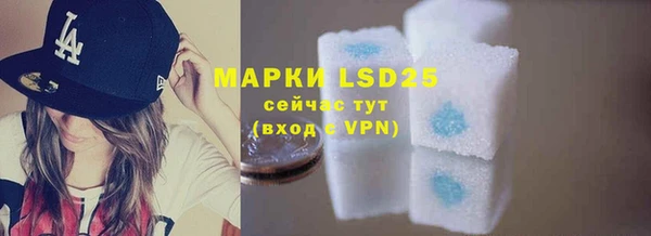 ПСИЛОЦИБИНОВЫЕ ГРИБЫ Абаза