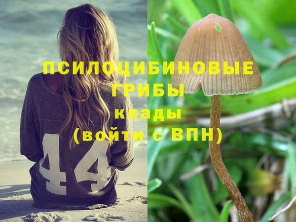прущие крисы Абинск